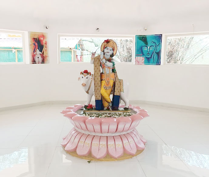 Gallery 3